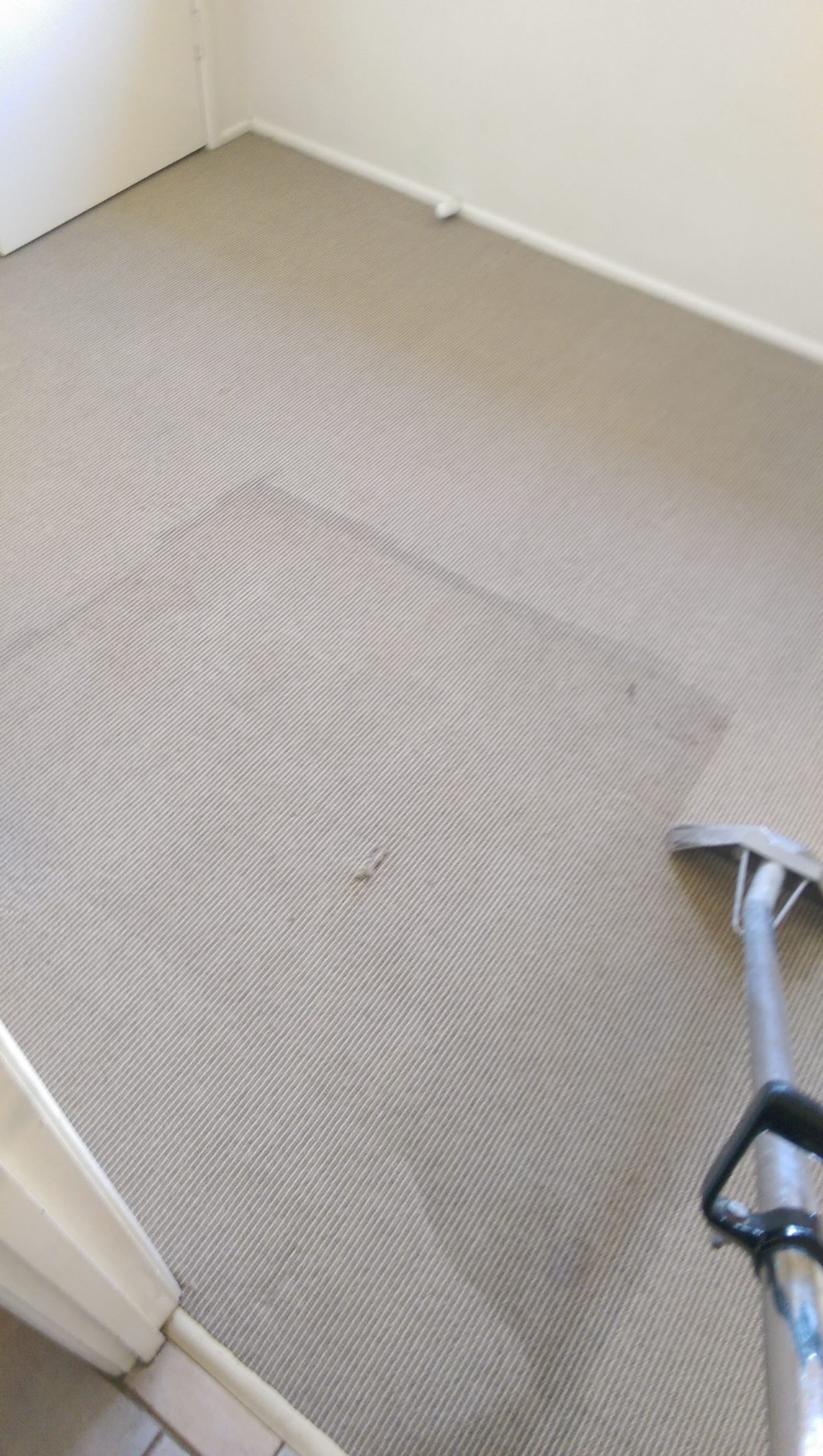 Carpet clean Brisbane