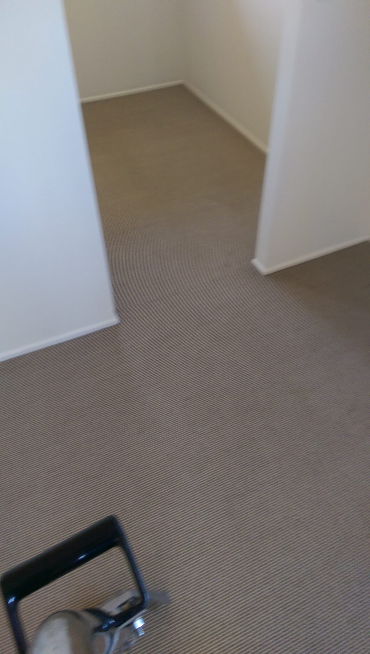 Carpet Steam Cleaning Brisbane
