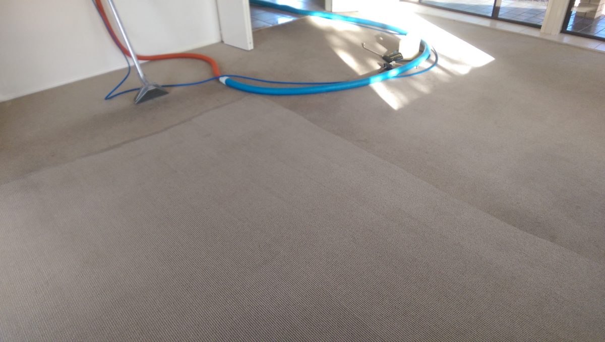 Carpet Steam Cleaning Brisbane